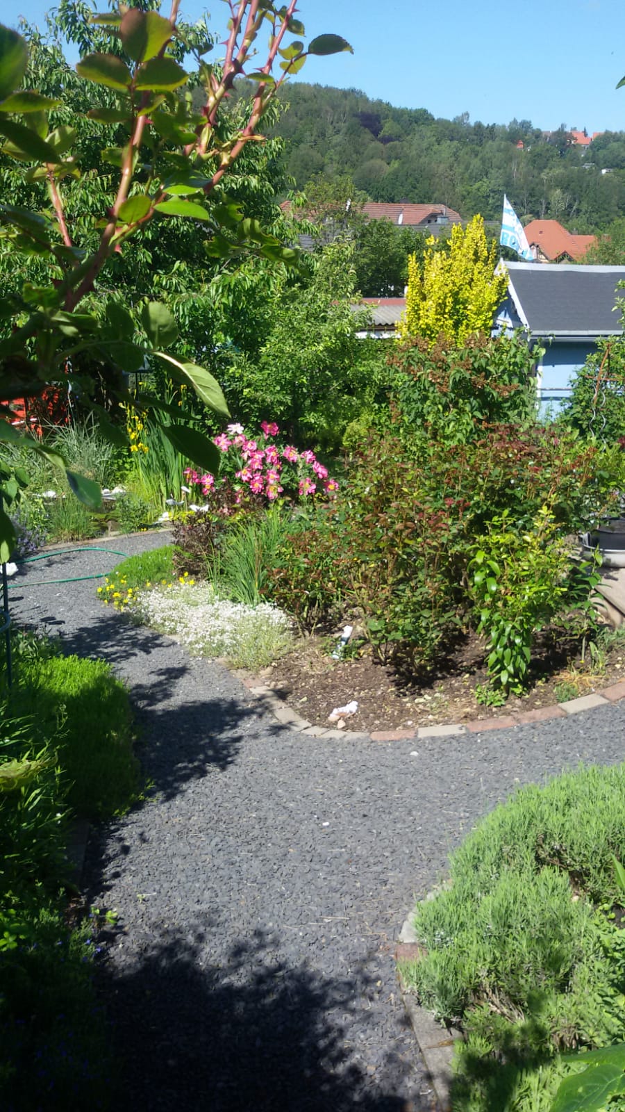 Home [kleingartenverein-eller.de]